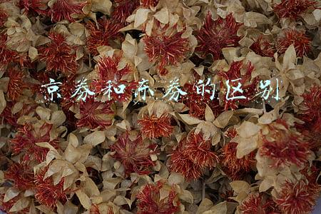 京券和东券的区别