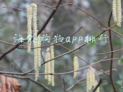 海外购物app排行哪个好(2022年1月全球热门移动应用收入TOP10：抖音及海外版TikTok冠军)