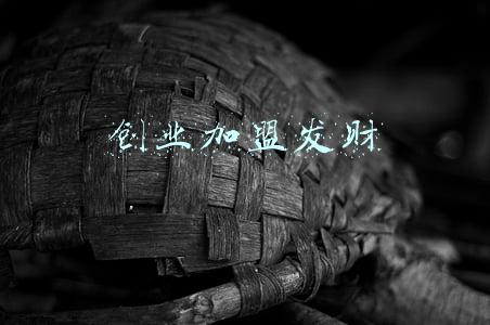 创业加盟发财