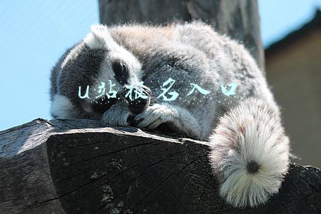 u站报名入口