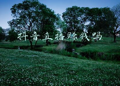 抖音直播赚钱吗