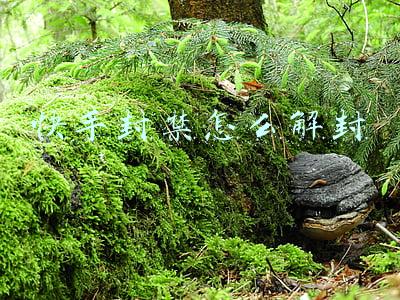 快手封禁怎么解封