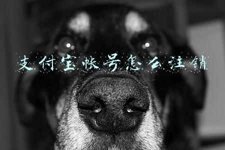 支付宝帐号怎么注销