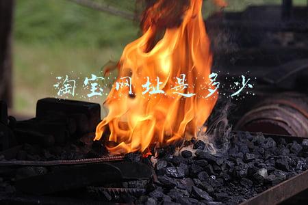 淘宝网址是多少