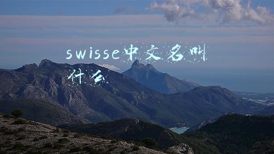 swisse中文名叫什么