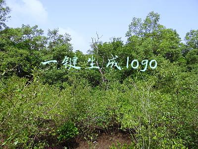 一键生成logo