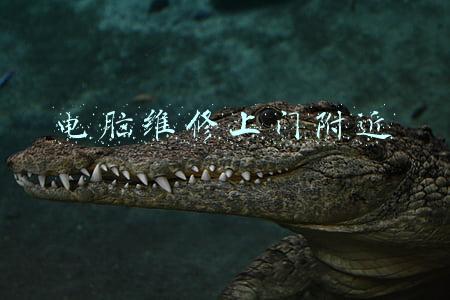 电脑维修上门附近