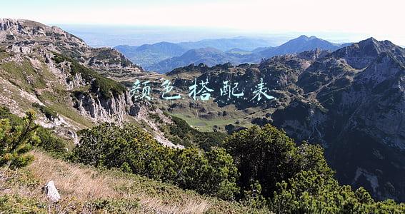颜色搭配表