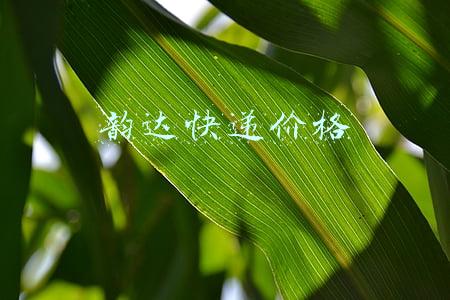 韵达快递价格