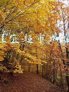 佳宜超市加盟