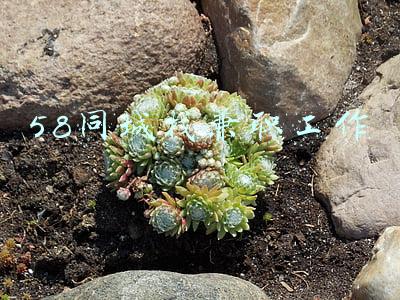 58同城找兼职工作网(58同城找兼职模特被骗 找工作警惕乱收费)