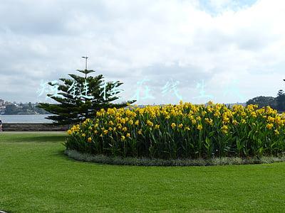 短链接在线生成