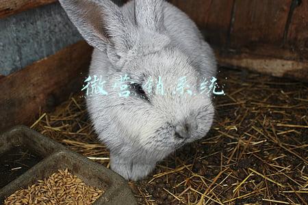 微商营销系统(微商授权系统)