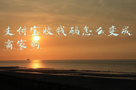 支付宝收钱码怎么变成商家的