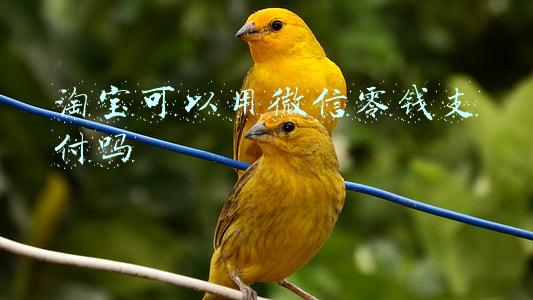 淘宝可以用微信零钱支付吗