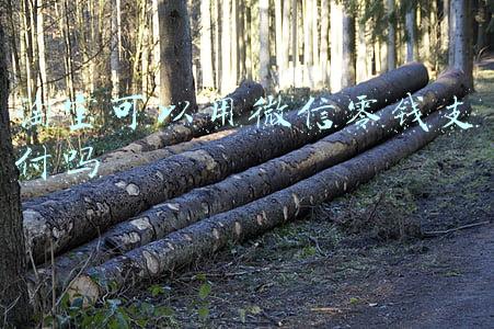 淘宝零钱在哪里找(消费新观察｜双11今晚正式开启，围观今年大厂有哪些新玩法？)