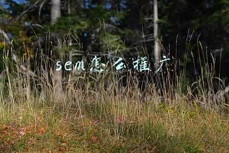 sem怎么推广
