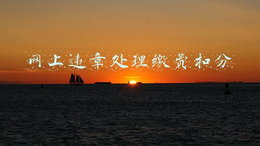 网上违章处理缴费扣分
