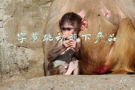 字节跳动旗下产品