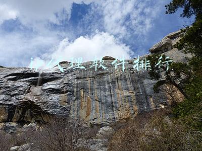 ip代理软件排行