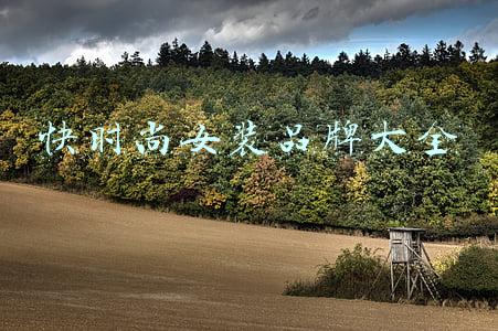 快时尚女装品牌大全