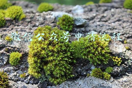 微信公众号申请流程