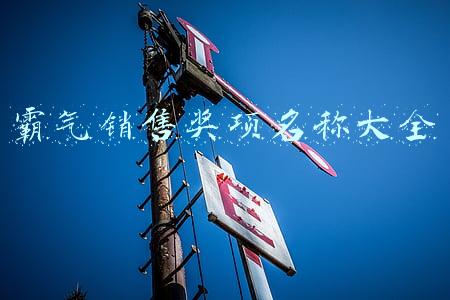 霸气销售奖项名称大全