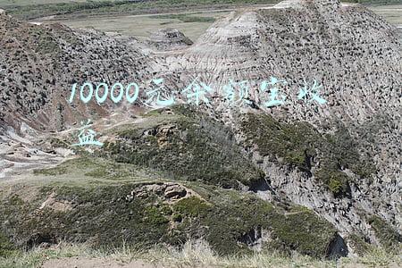 10000元余额宝收益