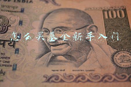 怎么买基金新手入门