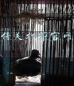 传美打印官网