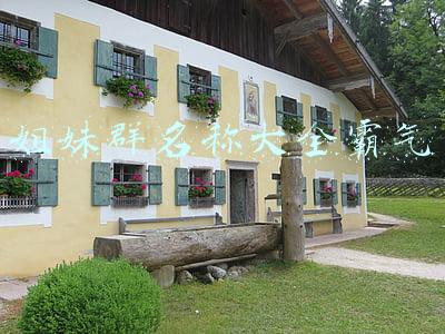 姐妹群名称大全霸气