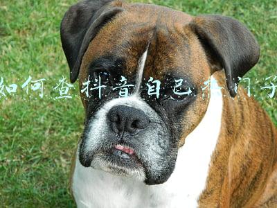 如何查抖音自己热门了