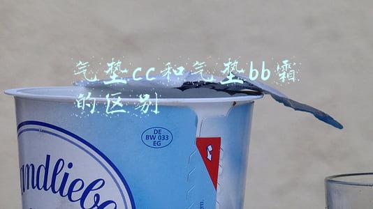 气垫cc和气垫bb霜的区别