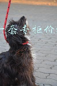 sk2一套专柜价格多少钱