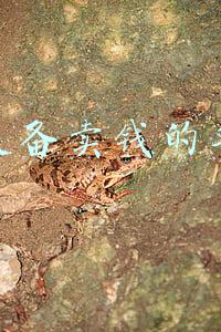 打装备卖钱的手游