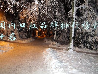 国内口红品牌排行榜前十名
