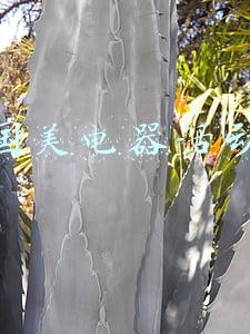国美电器活动