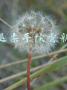 春运退票手续费新规定(退票免费、改签更方便！铁路民航春运期间最新政策汇总，收藏、转发)