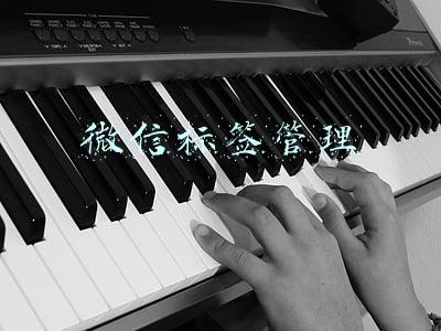 微信标签管理