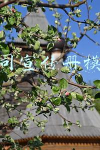 公司宣传册模板