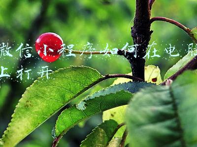 微信小程序如何在电脑上打开