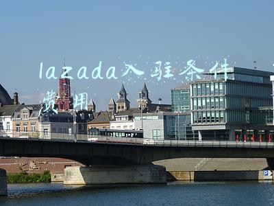 lazada注册条件(Lazada开店入驻条件及收费介绍)