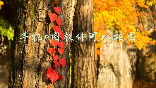 手机p图软件可以抠图