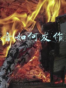 抖音如何发作品上热门(抖音发什么可以上热门？)