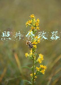 照片修改器