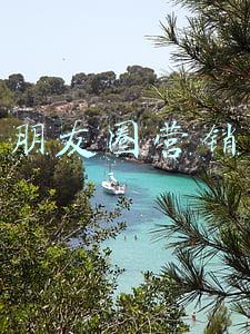 朋友圈营销
