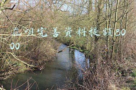 花呗完善资料提额8000