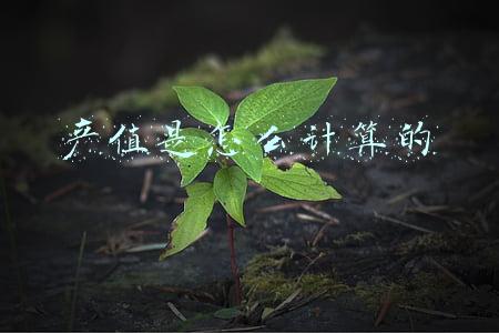 产值是怎么计算的