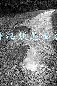 群聊视频怎么操作