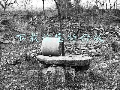 下载淘宝特价版